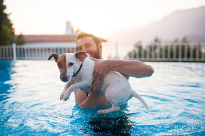 Perros en la piscina: cómo dejar que se bañe
